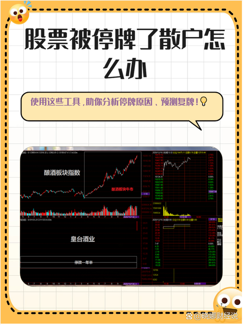 股票重组停牌时间规定_沪深交易所停复牌指引_史上最强停复牌制度细则