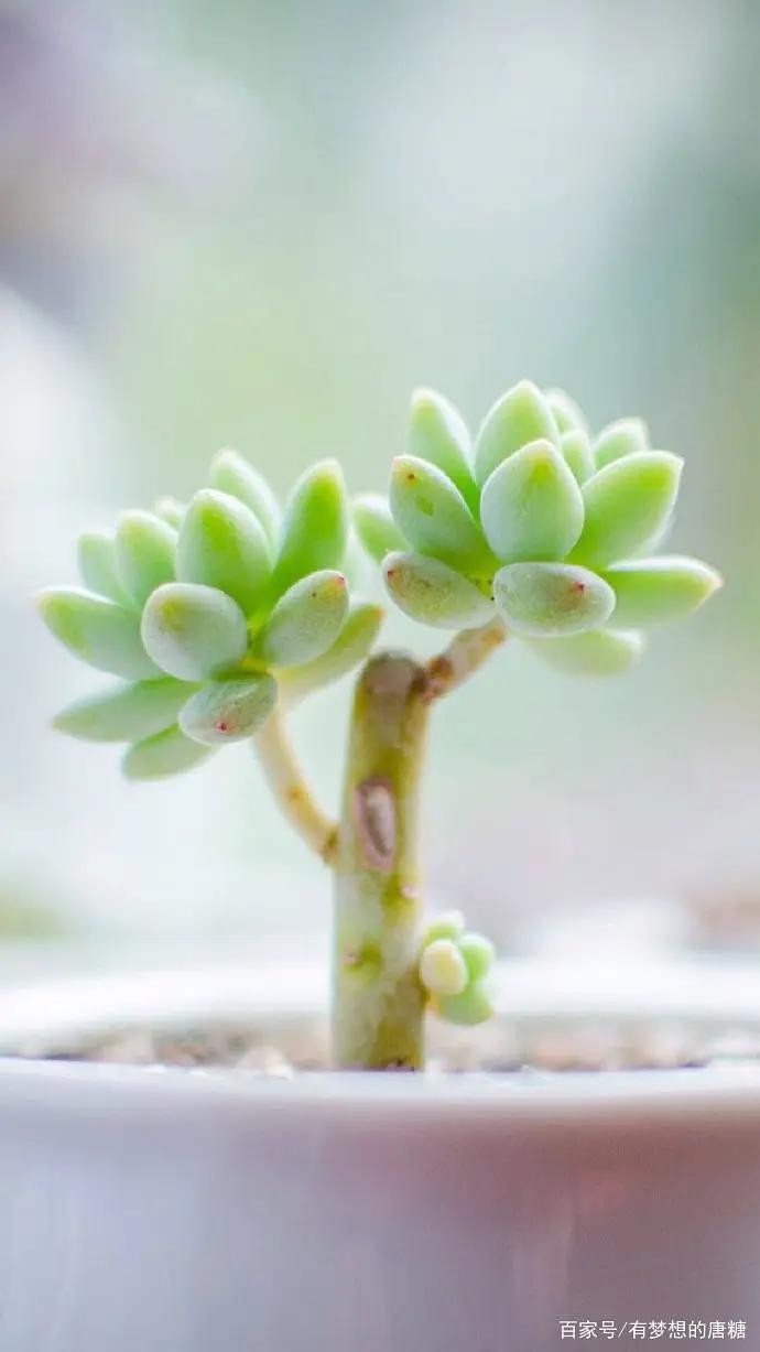 斯坦福监狱实验人性本恶_好看有趣的心理学书籍_津巴多普通心理学书籍推荐