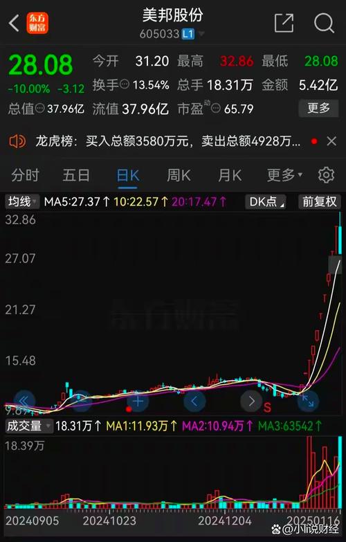 炒股一般哪家证券公司好_草根股民导师炒股经验_武汉花艺师炒股高手