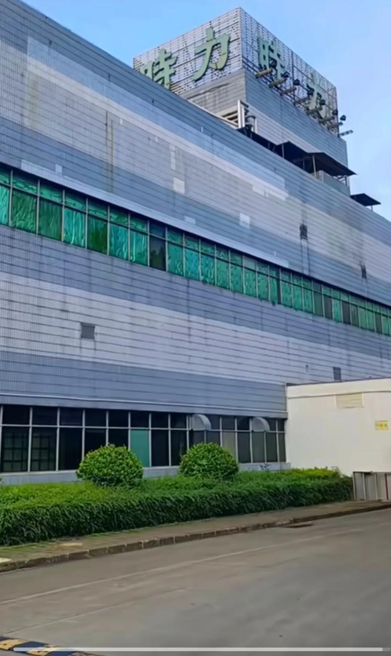 东莞长安时力电子厂历史_东莞长安安力科技园有哪些好厂_时力厂回忆录