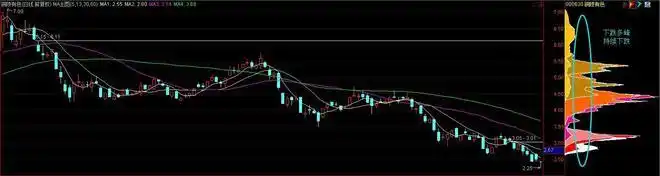 筹码分布主力行为_股票筹码分布怎么看_筹码分布识别主力动向