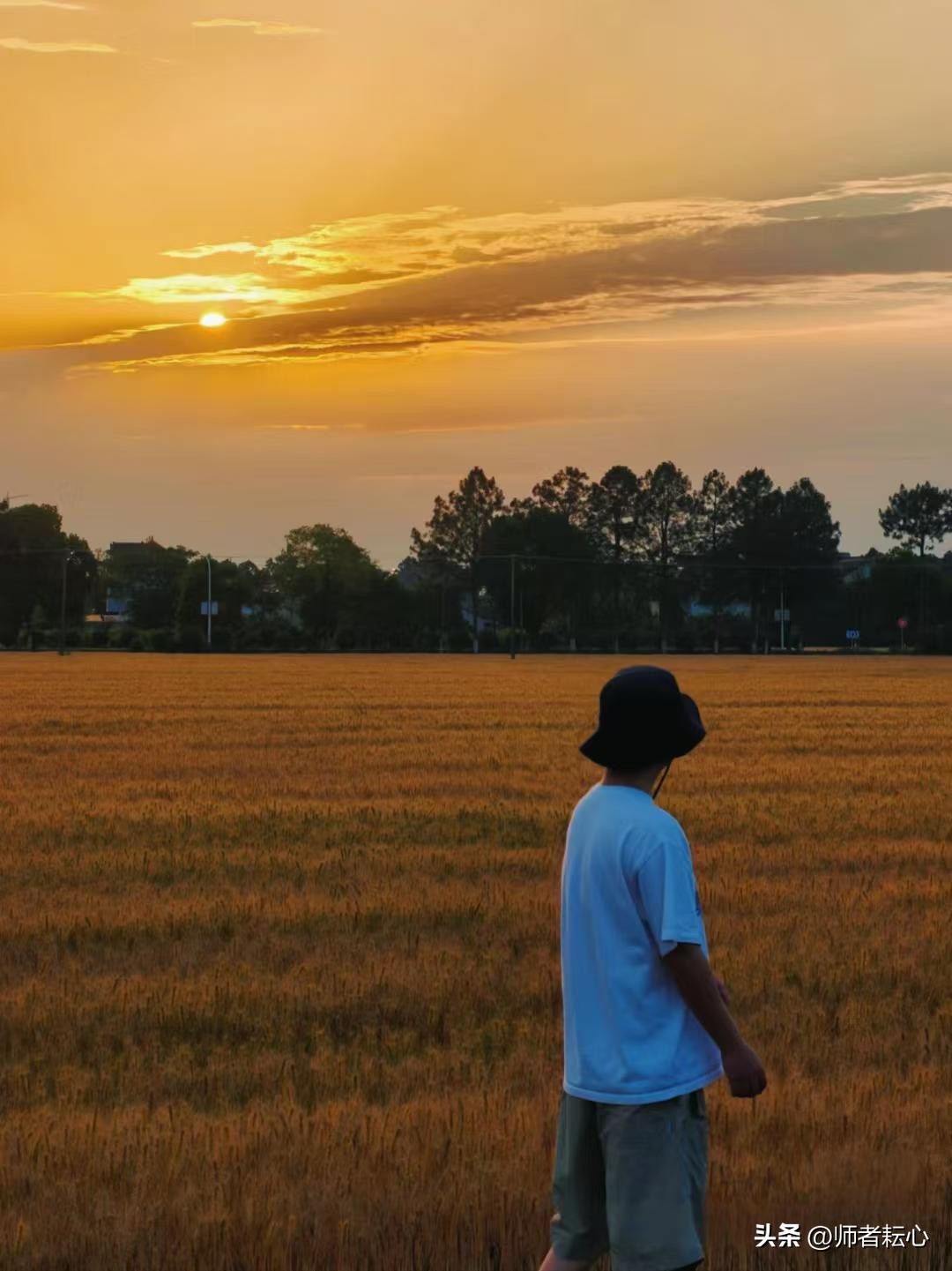 直播教学创新方法_农村小学生写作困境_学生在家基本情况应该怎么写