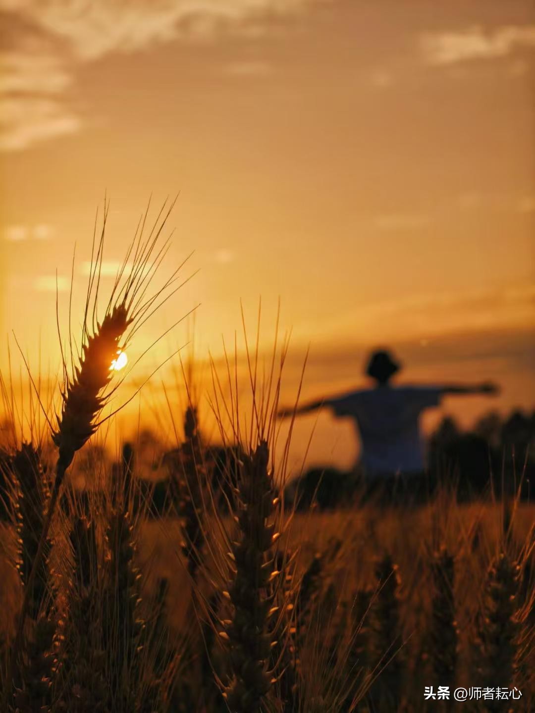 学生在家基本情况应该怎么写_直播教学创新方法_农村小学生写作困境