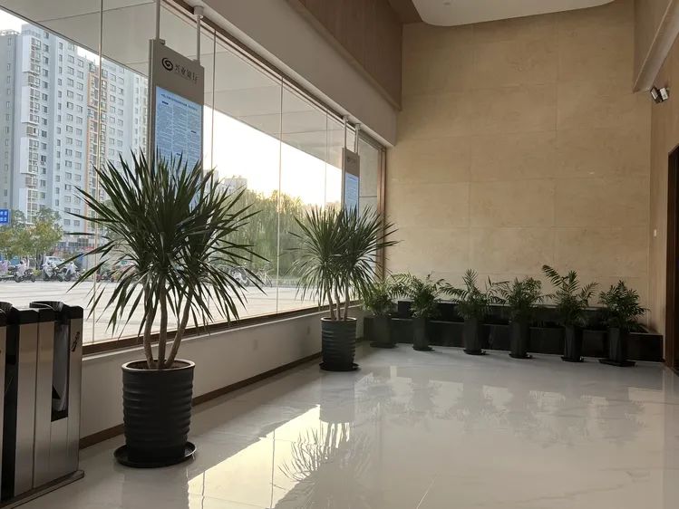 中行扬州分行换外币_兴业银行高邮支行 数字化转型 绿色金融