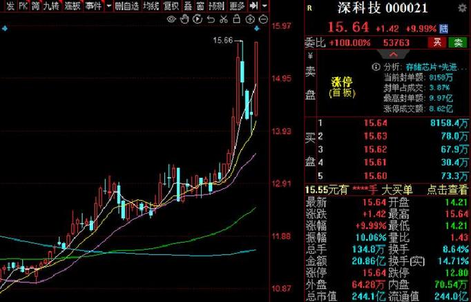 深科技当日走势分析_高位放量下跌换手率高_深科技资金流向与换手率解读