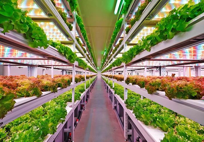led 植物工厂 股票_LED行业回暖趋势_LED企业上市并购分析