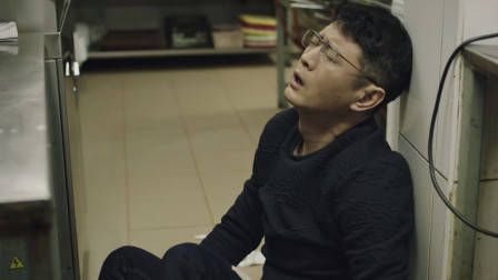 猎狐第28集:孙铭海青分道扬镳 过气行长洗盘子维持生活