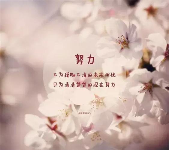 励志工作说说心情短语_励志正能量短句精选_正能量说说心情短语 正能量励志语录短句